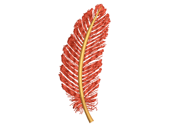 Red Decorative Feather Embroidery Review for Boutique Apparel